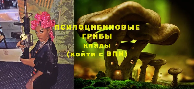 Псилоцибиновые грибы Magic Shrooms  Спасск-Рязанский 